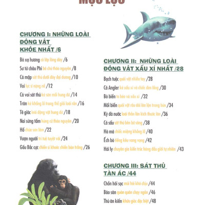 Khám Phá Bí Ẩn Thế Giới Tự Nhiên Dành Cho Học Sinh : Động Vật _ML