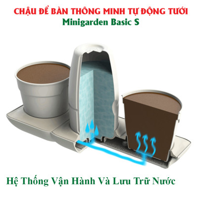 Chậu Để Bàn Thông Minh Tự Động Tưới và Tự động bón phân trong 2 tháng Minigarden Basic S Pots (1 bộ gồm 1 bình chứa nước, 2 chậu trồng và 3 túi dinh dưỡng). Phù hợp trồng cây trong gia đình, văn phòng với thiết kế gọn nhẹ, sang trọng và ít chăm sóc cây
