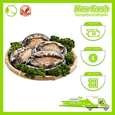 Bào Ngư Hàn Quốc Đông Lạnh - Túi 1Kg (16-20 con)