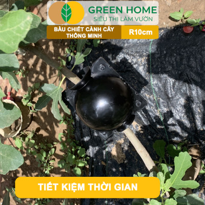 Bầu Chiết Cành GreenHome, R10cm(1 Thùng 80 CÁI), Tăng Khả Năng Ra Rễ,Phù Hợp Với Xoài, Mít,Sầu Riêng