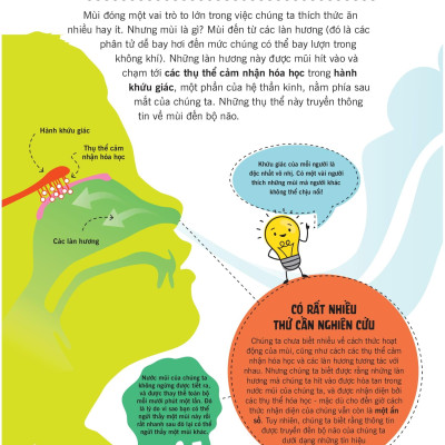 Khoa Học Ăn Được Không?