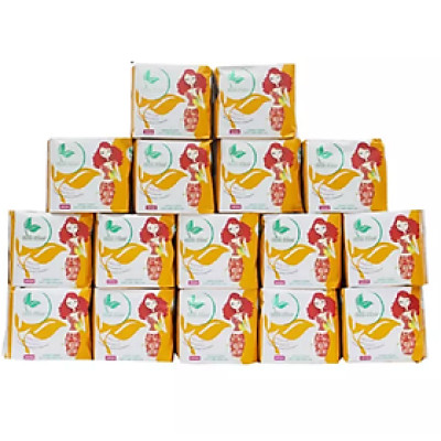 Bộ băng vệ sinh hằng ngày lưới BELLE FLORA 16 gói