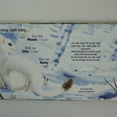 Touch And Feel - Sách Sờ Chạm Khám Phá - Thế Giới Động Vật - Bốn Mùa Tươi Đẹp