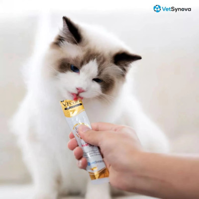 Súp thưởng chức năng VF Core FV Vitamin tổng hợp cho chó mèo gói 12g