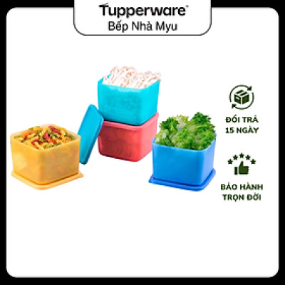 Bộ Hộp Tupperware Bảo Quản Thực Phẩm Ngăn Mát Medium Square Round 1L (04 Hộp)