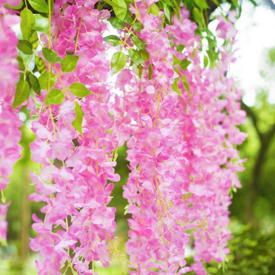 Bó 12 cành tử đằng giả - 1 cành 3 nhánh - dài 100cm - Nhiều loại màu - Dây leo hoa tử đằng giả - Cây giả, hoa lụa trang trí nhà cửa