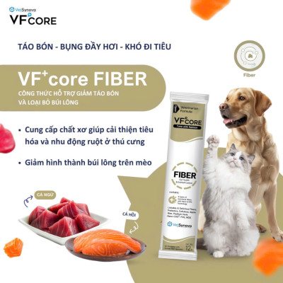 Súp thưởng chức năng VF Core FIBER tiêu búi lông, hỗ trợ tiêu hóa cho mèo gói 12g