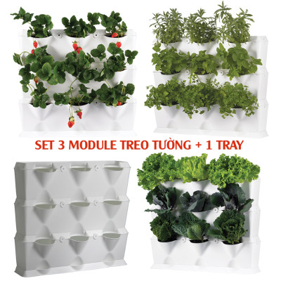 KHUNG TRỒNG RAU SẠCH ĐỨNG TẠI NHÀ CỦA CHÂU ÂU (3 khung xếp chồng lên nhau với 9 lỗ trồng và 1 khay chứa nước) dễ dàng lắp đặt và di chuyển. Không kèm hệ thống tưới nhỏ giọt