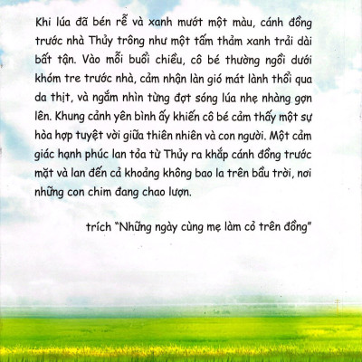 Mùa Lúa Trổ Đòng Đòng