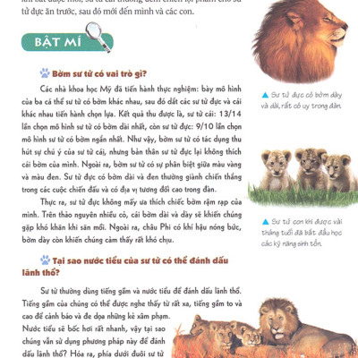 Khám Phá Bí Ẩn Thế Giới Tự Nhiên Dành Cho Học Sinh : Động Vật _ML