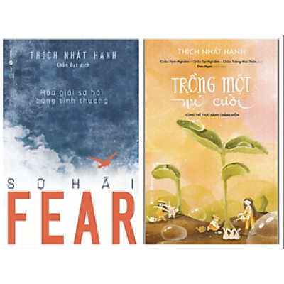 Sách - Combo Trồng một nụ cười và Fear Sợ Hãi - Hóa Giải Sợ Hãi Bằng Tình Thương