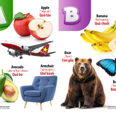 Từ Điển Bằng Tranh - Chữ Cái Và Số Đếm