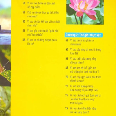 Khoa Học Cho Lứa Tuổi Thiếu Niên - Mười Vạn Câu Hỏi Vì Sao - Sinh Vật Và Môi Trường