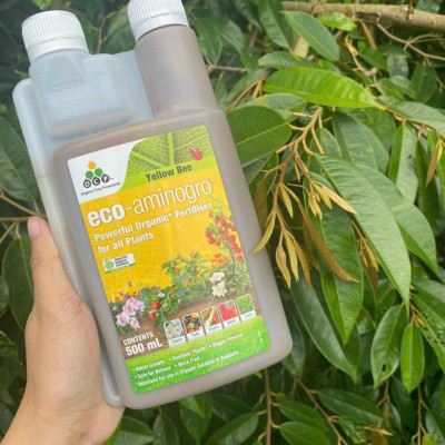Amino Úc Eco-aminogro (Yellow Bee) nhập khẩu trực tiếp chai 500ml