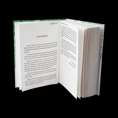 BỘ SÁCH "BẬN" ( Bạn Đang Bận Việc Gì Và Chẳng Gì Khiến Ta Bận Lòng ) - Sách Tôn Giáo, Nghệ Thuật Và Văn Hóa, Tác Giả KHENPO SODARGYE - Hiệu sách genbooks, bìa mềm, in màu