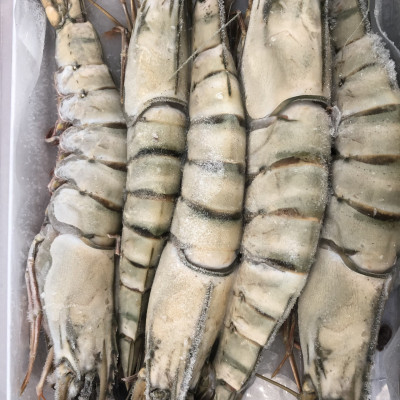 Tôm sú nguyên con sinh thái Seaprodex kích cỡ 5 con/hộp , 500gr