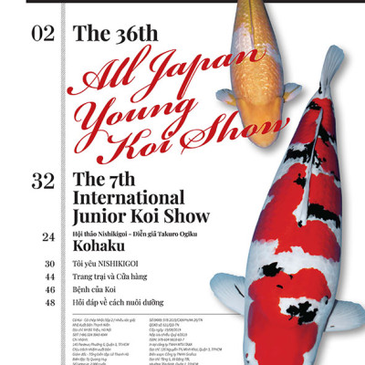 Cá Koi Vietnam - Tập 2