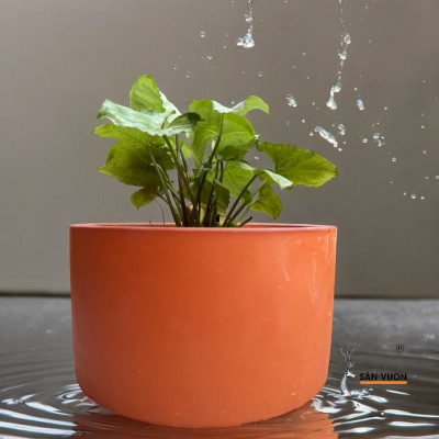 Bộ 3 Chậu Hình Trụ Lùn MARBLE Đất Nung - Loang - Cắt Rối