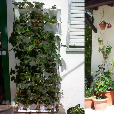 Khung Module Rau Ban Công (1M2 xếp ngang Có Tưới Nhỏ giọt bán tự động) dạng Đứng VerticalMinigarden nhập khẩu Bồ Đào Nha với 8 chậu kèm 2 Tray hứng nước và bộ dây tưới nhỏ giọt lắp sẵn