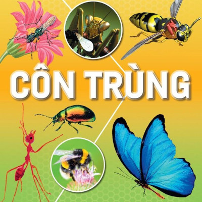 Hành Trình Khám Phá - Côn Trùng - Bìa Cứng