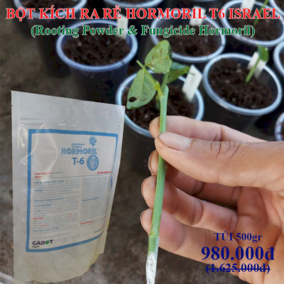 Bột Kích Ra Rễ Israel cho cây Thân Gỗ Hormoril T6 (T with Fungicide)