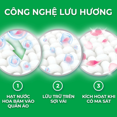 Túi Nước Giặt ARIEL Chuyên Gia Cửa Trên Ngăn Lem Màu - Hương Downy Nước Hoa 3.65KG