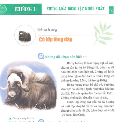 Khám Phá Bí Ẩn Thế Giới Tự Nhiên Dành Cho Học Sinh : Động Vật _ML