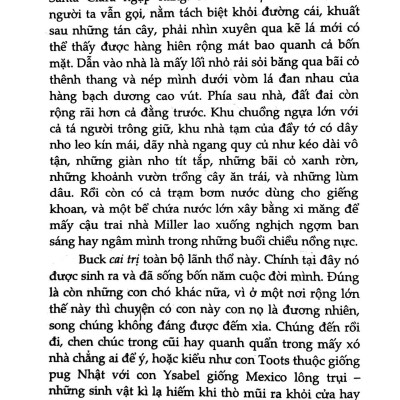 Tiếng Gọi Nơi Hoang Dã (Tái Bản 2023) - Bìa Cứng