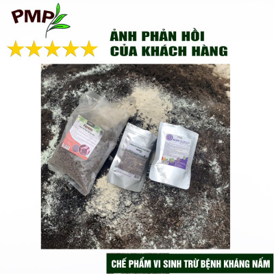 Bộ trừ bệnh vi sinh, sinh học PMP cho cà chua bạch tuộc - Killpa, Trichoderma, Biomic, Green Neem, Giấm gỗ Apy, Mật rỉ đường