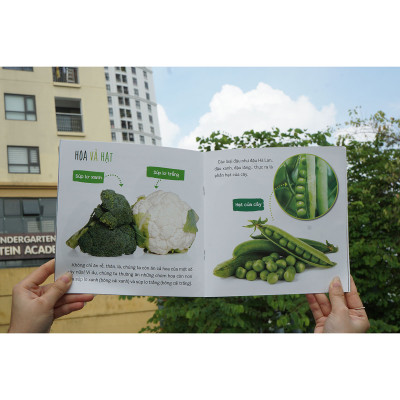 Combo (6 Tập): Healthy eating - Ăn uống lành mạnh