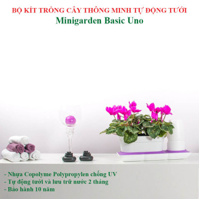 Bộ Chậu Trồng Cây Văn Phòng Thông Minh Tự Động Tưới Basic S Nhập Khẩu Châu Âu, Giúp Cây Phát Triển Tốt