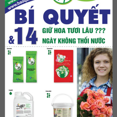 Thuốc Bột Cắm Hoa Tươi nhập khẩu Israel tại shop Florist (1 hủ pha 100L nước cắm hoa) hiệu Longlife SG là bí quyết giúp hoa cắm Xốp tươi lâu và hạn chế chăm sóc thay hoa mới
