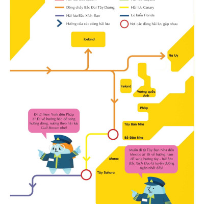 100 Bí Ẩn Đáng Kinh Ngạc Về Các Đại Dương - 100 Things To Know About The Oceans