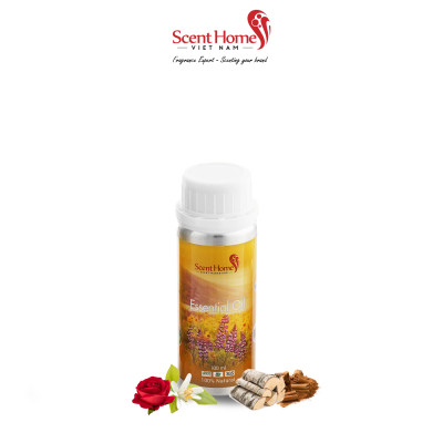 Tinh dầu Scent Homes - mùi hương (BBW Winter Candy Apple)