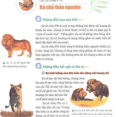 Khám Phá Bí Ẩn Thế Giới Tự Nhiên Dành Cho Học Sinh : Động Vật _ML