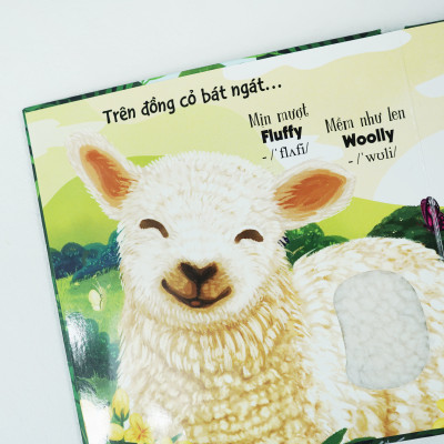 Touch and Feel - Sách Sờ chạm khám phá - Thế giới động vật - Một ngày giữa thiên nhiên