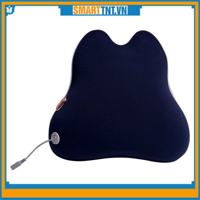 Máy massage lưng chính hãng Đại Việt DVML-00001