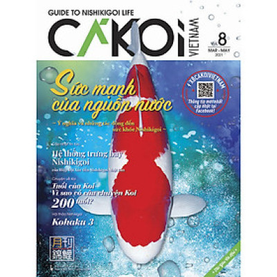 Cá Koi Vietnam - Tập 8