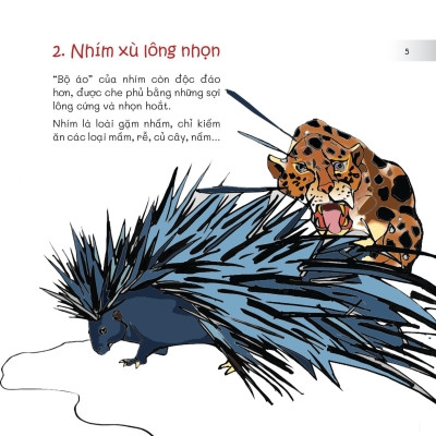 Chuyện Lạ Loài Vật - Áo Giáp, Áo Lông Và Cả Áo Vỏ