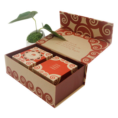 HỘP NẤM LINH CHI AN BÌNH