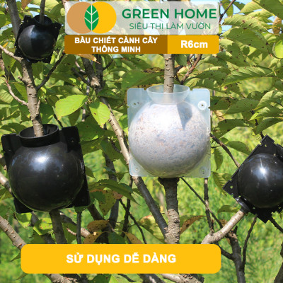 Bầu Chiết Cành GreenHome, R6cm(1 Thùng 100 CÁI), Tăng Khả Năng Ra Rễ, Phù Hợp Với Mai Vàng, Ổi, Mận