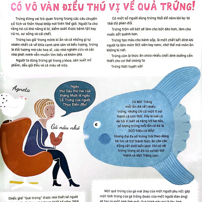 Quả Trứng Và Hơn Thế Nữa - Dưới Góc Nhìn Sinh Học Và Văn Hóa, Kèm Theo Các Trò Chơi Và Thực Hành Thú Vị