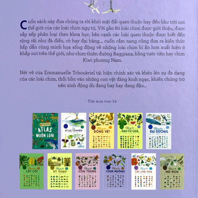 Bách Khoa Thư Cho Cả Nhà - Thế Giới Chim Muông Bằng Tranh