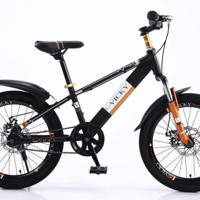 Xe đạp địa hình bánh 22 Vicky VIC122