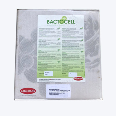 Men đường ruột cao cấp cho tôm cá BACTOCELL AQUA 10