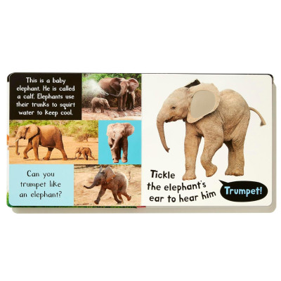 Sách ngoại văn: My First Touch And Feel Sound Book - Noisy Baby Animals