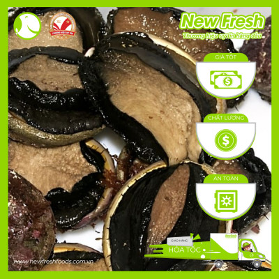 Bào Ngư Úc Viền Đen Đông Lạnh - Hộp 1Kg