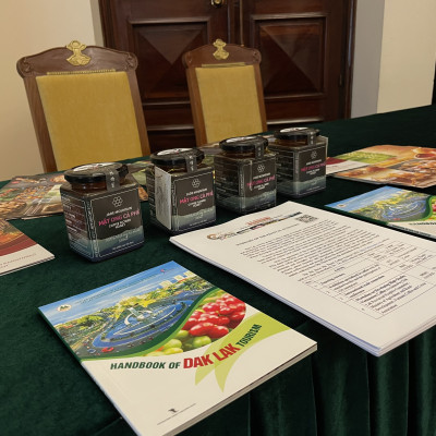 Combo 1 Hũ Mật Ong Cà Phê Jade Mountain Kết Tinh Tự Nhiên 380ml Và 1 Mật Ong Bánh Tổ Jade Mountain 500gr Nguyên Miếng Ngọt Nhẹ