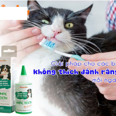 Vemedim Nước Súc Miệng WHITE TEETH Đánh bay Mảng Bám, Giảm Hôi Miệng cho Chó Mèo