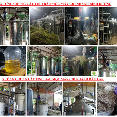 Tinh dầu Sả chanh 100ml Mộc Mây - tinh dầu nguyên chất 100% từ thiên nhiên - chất lượng và mùi hương vượt trội